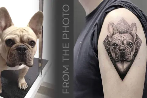 Tatuaż buldog francuski na ramieniu, obok zdjęcie żywego buldoga.