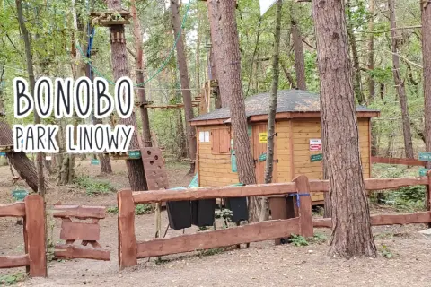 Park Linowy Bonobo Hel: Trasy, cennik i opinie przewodnik