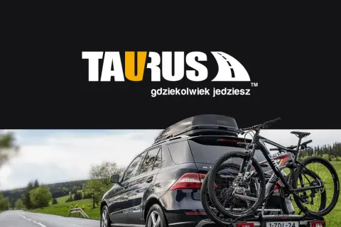 Jak box na dach zwiększa przestrzeń ładunkową i chroni bagaż