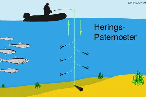 Silhouette eines Anglers auf einem Boot, der mit einer Paternoster-Montage auf Heringe angelt. Mehrere Heringe schwimmen im Wasser.