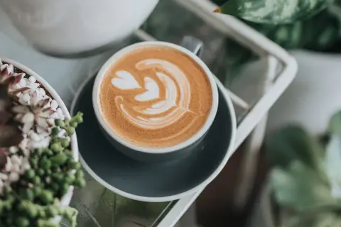 Ein perfekt zubereiteter Cappuccino mit Latte Art, der Lust macht, ihn selber zu machen. Daneben grüne Pflanzen.