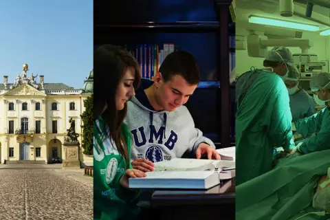 Doktor nauk medycznych po jakich studiach? Kluczowe informacje i wymagania