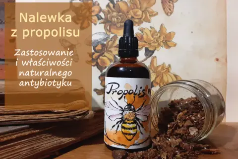 Jak stosować propolis na dziąsła, aby skutecznie wyleczyć ich stan
