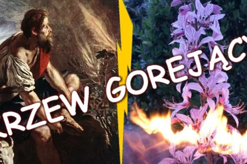Krzak gorejący frazeologizm – znaczenie i biblijne konteksty