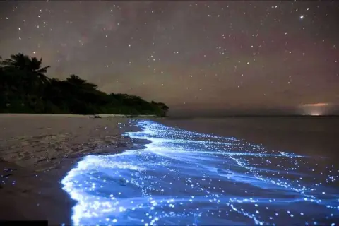 Nocne Malediwy: plaża rozświetlona bioluminescencyjnym morzem gwiazd, pod rozgwieżdżonym niebem.