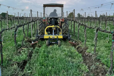 Trattore in vigneto con attrezzo per la lavorazione del terreno, un esempio di moderna resa agricola.
