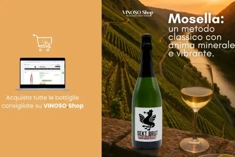 Bottiglia di Sekt Brut Riesling, un esempio di classificazione vini tedeschi, con vigneti della Mosella sullo sfondo.