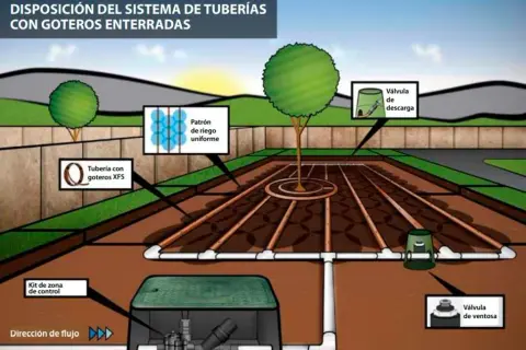 Esquema instalación riego por goteo: evita errores comunes y ahorra agua