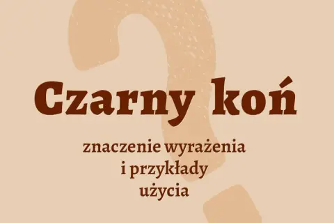 Wyjaśnij znaczenie frazeologizmów pochodzenia literackiego i ich wpływ