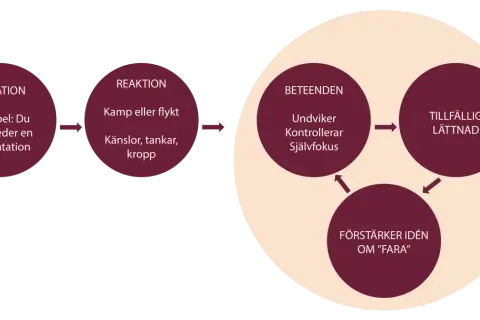 Diagram visar hur undvikande beteende kan uppstå vid en situation som att förbereda en presentation, vilket leder till tillfällig lättnad men förstärker idén om fara.
