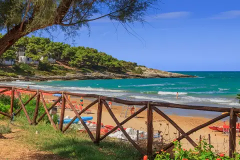 Splendida spiaggia di Crovatico con sabbia dorata, mare turchese e pineta rigogliosa. Un uomo nuota tra le onde.