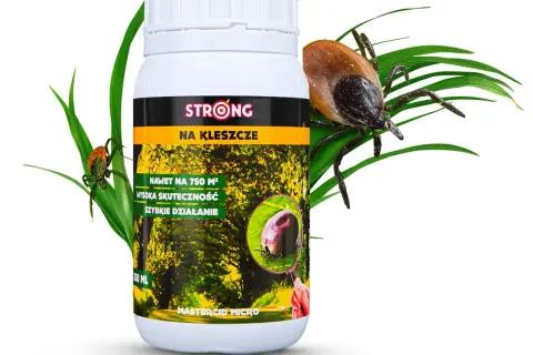Co zabija kleszcze? Skuteczne metody: chemiczne i naturalne