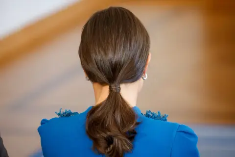 Coleta baja y pulida, ideal para lucir unos peinados de Navidad elegantes y sencillos.