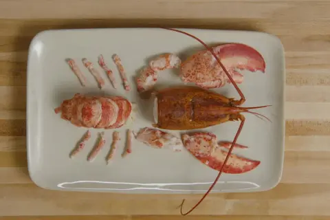 Homard décortiqué, prêt à être cuisiné. La partie non comestible, la carapace, est séparée des morceaux de chair.