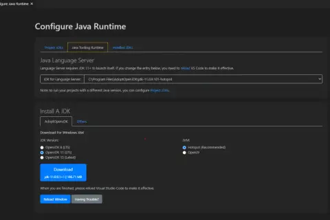Configuration du runtime Java. Le chemin du JDK pour le serveur de langage est défini. Installation d'un JDK avec choix de version.