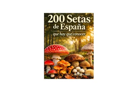 Un libro muestra la diversidad de **setas en España**, con imágenes de varias especies, incluyendo la seta de fly agaric y otras setas comestibles y venenosas.