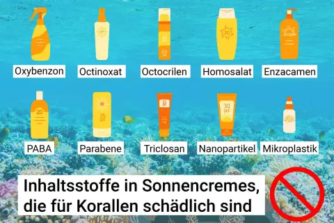 Schädliche Sonnencreme Inhaltsstoffe wie Oxybenzon, Octinoxat und Nanopartikel bedrohen Korallenriffe. Informiere dich über Alternativen.