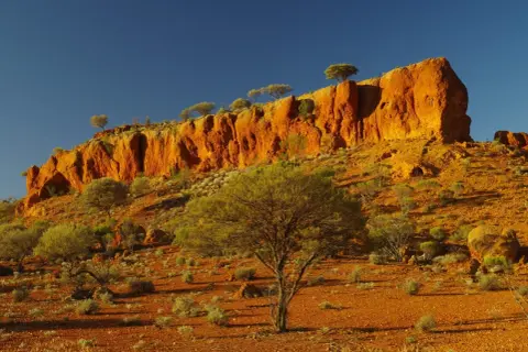 Pomarańczowe klify i pustynna roślinność w parku narodowym w Australii.