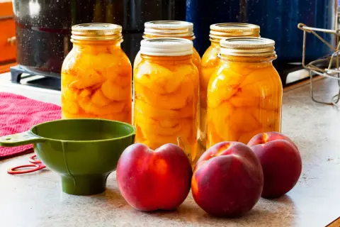 Vorbereitung für das Pfirsiche einkochen: Gläser gefüllt mit Pfirsichspalten, frische Früchte, ein grüner Trichter und rote Einmachringe liegen bereit.