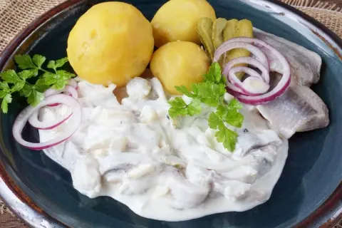 Matjesfilets in cremiger Soße mit Pellkartoffeln, Gurken und Zwiebelringen. Ein Klassiker, der zeigt, wie gut Matjes einlegen gelingt.