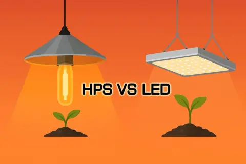 Lampa do uprawy: LED vs HPS 2026. Jak wybrać i oszczędzać?