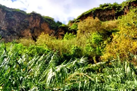 Verde exuberante y rocas escarpadas en el barranco de Azuaje, con un cielo azul y nubes.