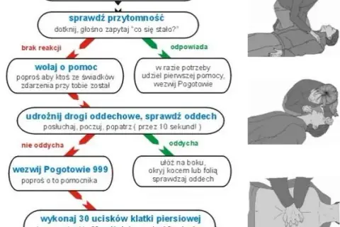Pierwsza pomoc: naucz się ratować życie bez strachu