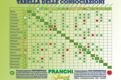 Tabella consociazioni ortaggi con faccine sorridenti (favorevole) e tristi (sfavorevole).