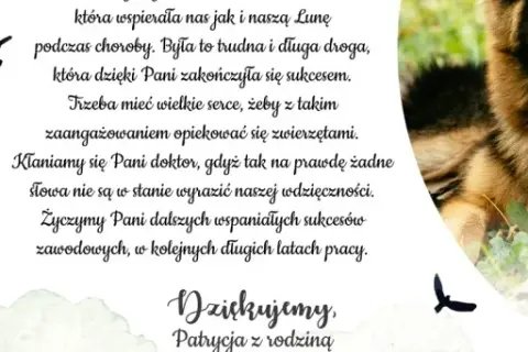 Jak napisać podziękowanie dla weterynarza i wyrazić wdzięczność