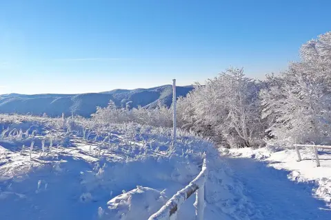 Zimowe ferie Podkarpacie: szlak pokryty śniegiem i lodem, drzewa oszronione, góry w tle.