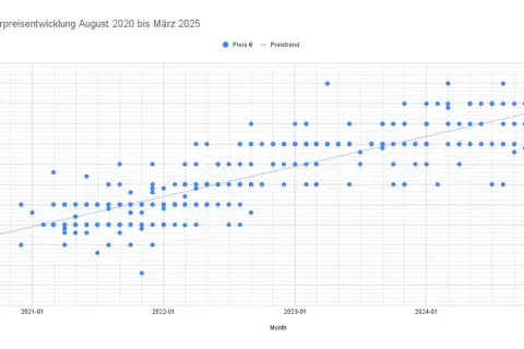 Duży Kebab w 2025: Ile Kosztuje i Co Wpływa na Cenę?