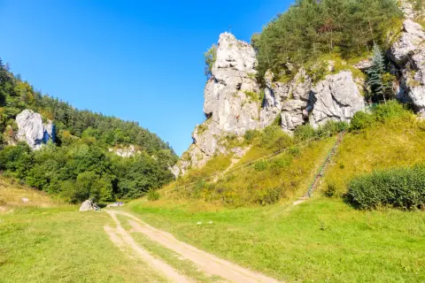 Wspinacze na wapiennych skałach w Dolinkach Krakowskich. Kręta ścieżka prowadzi przez zielone łąki i lasy.