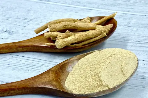 Korzeń ashwagandhy i proszek na drewnianych łyżkach. Czy ashwagandha a karmienie piersią to bezpieczne połączenie?