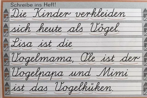 Übungstext in verbundener Grundschrift: Kinder verkleiden sich als Vögel. Lisa ist Vogelmama, Ole Vogelpapa, Mimi Vogelküken.