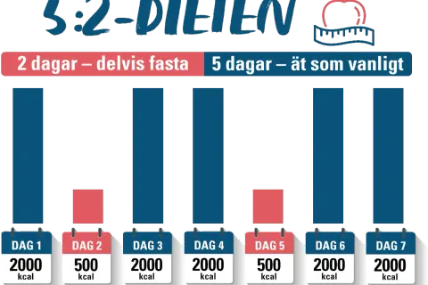 Grafisk illustration av 5:2-dieten: två dagar med begränsat kaloriintag (500 kcal) och fem dagar med normalt intag (2000 kcal).