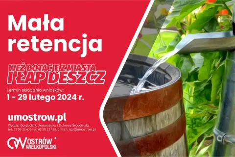 Deszczówka: legalnie, skutecznie, z dotacją. Poradnik DIY