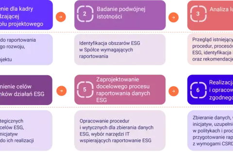 Schemat przedstawia 6 kroków zarządzania projektem ESG: od szkoleń i analizy luk po raportowanie zgodne z ESRS. Dowiedz się, esg co to jest i jak je wdrożyć.