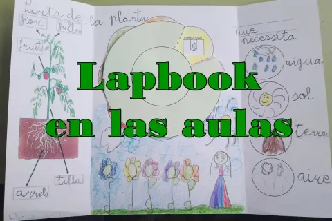 Un lapbook sobre las partes de la planta y lo que necesita. Muestra un dibujo de una planta, flores y sol, agua, tierra y aire.