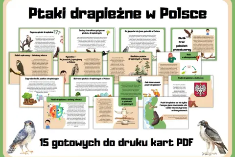 Ptaki drapieżne w Polsce: orzeł bielik, sokół wędrowny, myszołów. Poznaj ich cechy, siedliska, zagrożenia i rolę w ekosystemie.