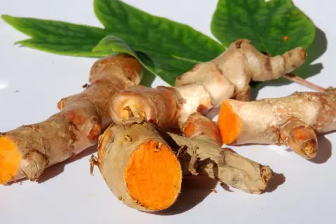Frische Kurkumawurzeln mit leuchtend orangefarbenem Inneren. Man kann Kurkuma mit Schale essen, sie ist essbar und gesund.