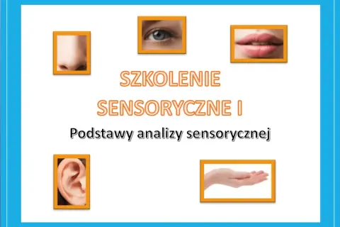 Skuteczne szkolenia sensoryczne dla dzieci i analizy sensorycznej