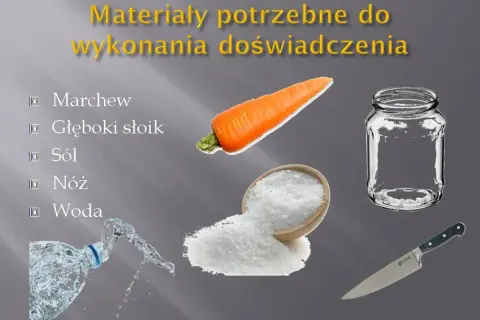 Co to osmoza w biologii? Kluczowy proces dla życia organizmów
