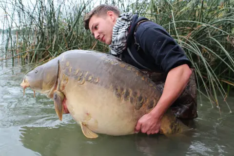 Junger Mann hält riesigen Karpfen im Wasser, ein toller Fang beim Angeln in Frankreich nahe der deutschen Grenze.