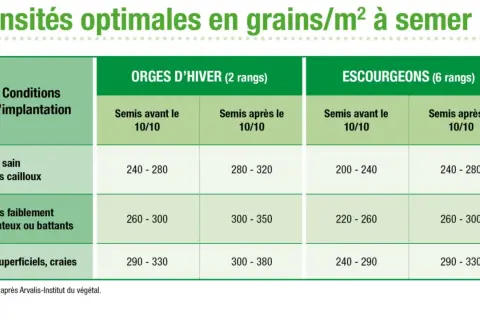 Tableau des densités optimales pour le semis d'orge d'hiver et d'escourgeon, selon les conditions d'implantation et la date de semis.