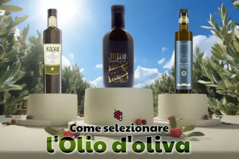Tre bottiglie di olio di oliva vergine, su piedistalli, con testo "Come selezionare l'Olio d'oliva".
