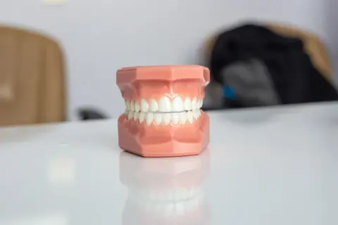 Model szczęki do nauki stomatologii, gotowy do pracy, by pokazać, jak prawidłowo **wax up** modele.