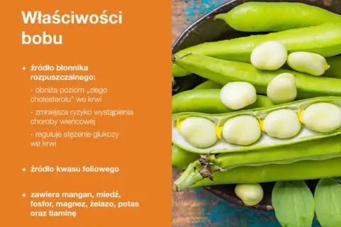 Zielone strąki bobu, z których wysypują się białe ziarna. Bób pieczony to zdrowe źródło błonnika i kwasu foliowego.
