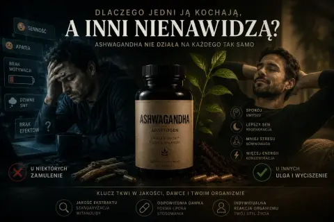 Ashwagandha: niektórzy odczuwają zamulenie i senność, inni ulgę i wyciszenie. Zrozumienie potencjalnych skutków ubocznych jest kluczowe.