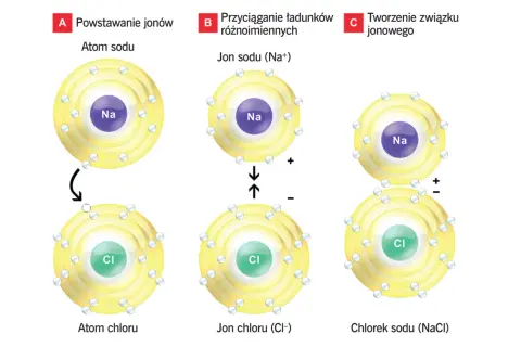 Schemat pokazuje, jak powstaje chlorek sodu (NaCl). Atom sodu oddaje elektron, tworząc jon Na+, a atom chloru go przyjmuje, tworząc jon Cl-. Następnie jony te przyciągają się, tworząc związek.
