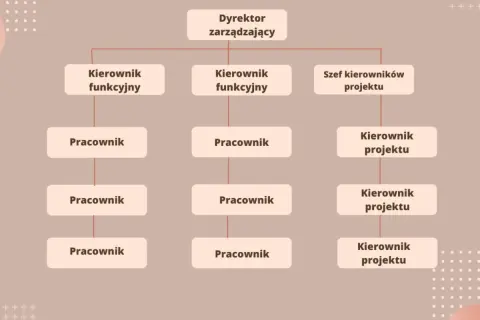 Schemat przedstawia strukturę organizacyjną firmy z dyrektorem zarządzającym na czele, kierownikami funkcyjnymi i szefem kierowników projektu.